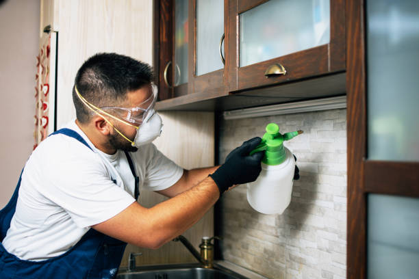 Best Mosquito Control Services  in Nutter Fort, WV