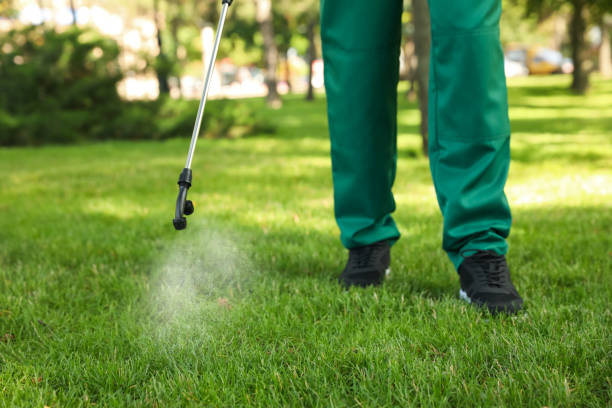 Pest Prevention Services in Nutter Fort, WV