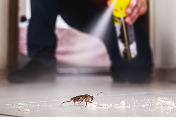 Wildlife Control Services in Nutter Fort, WV